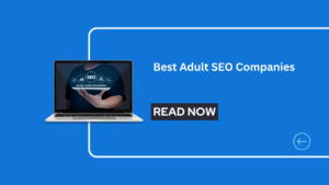 Adult SEO Services